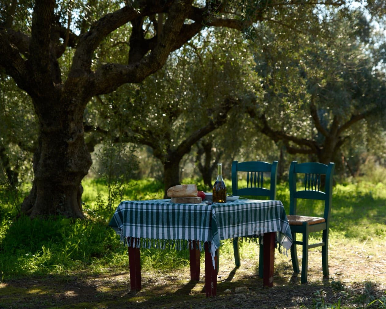 Rustic dining table in the DIMOS olive grove