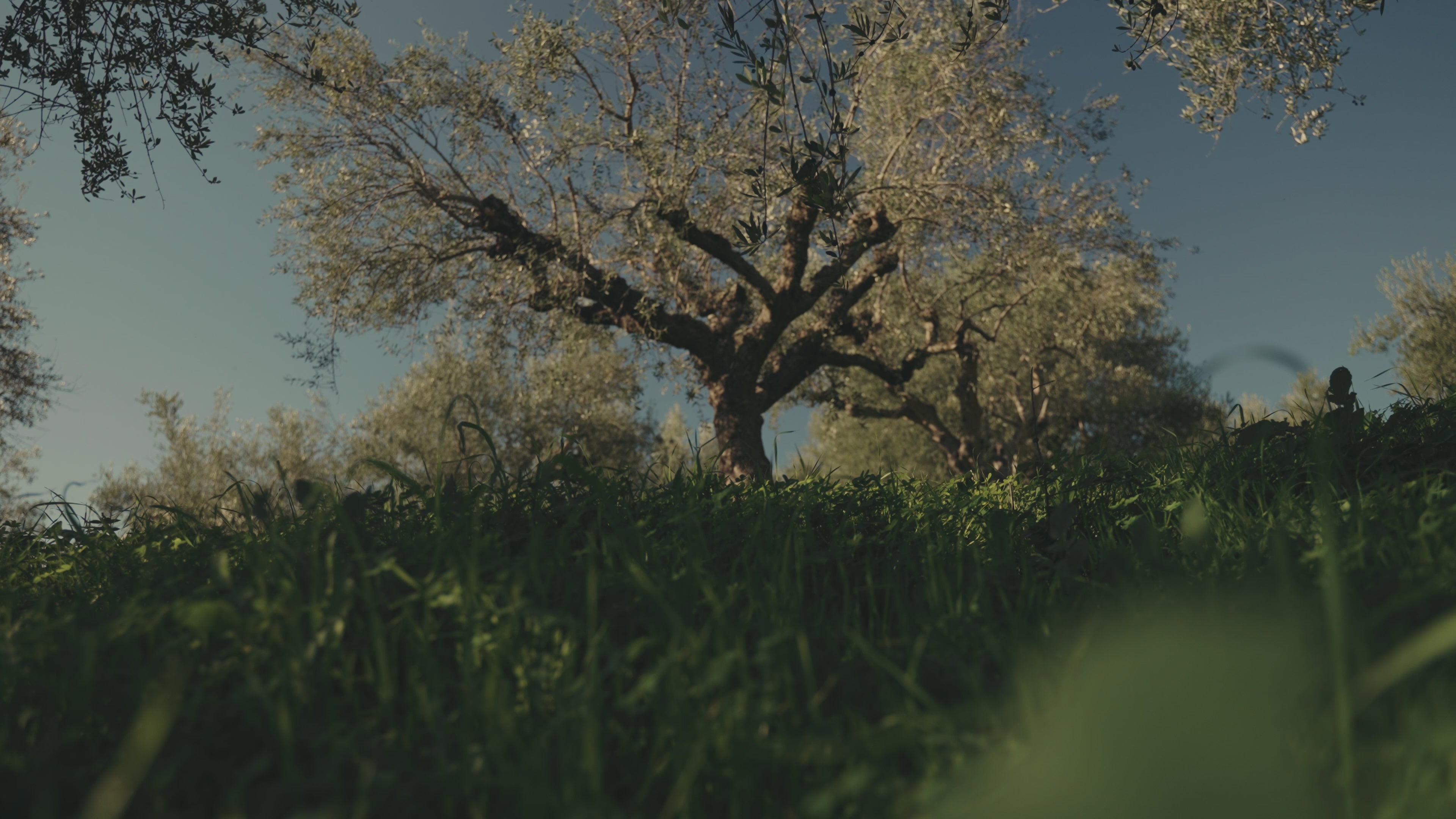 Load video: 